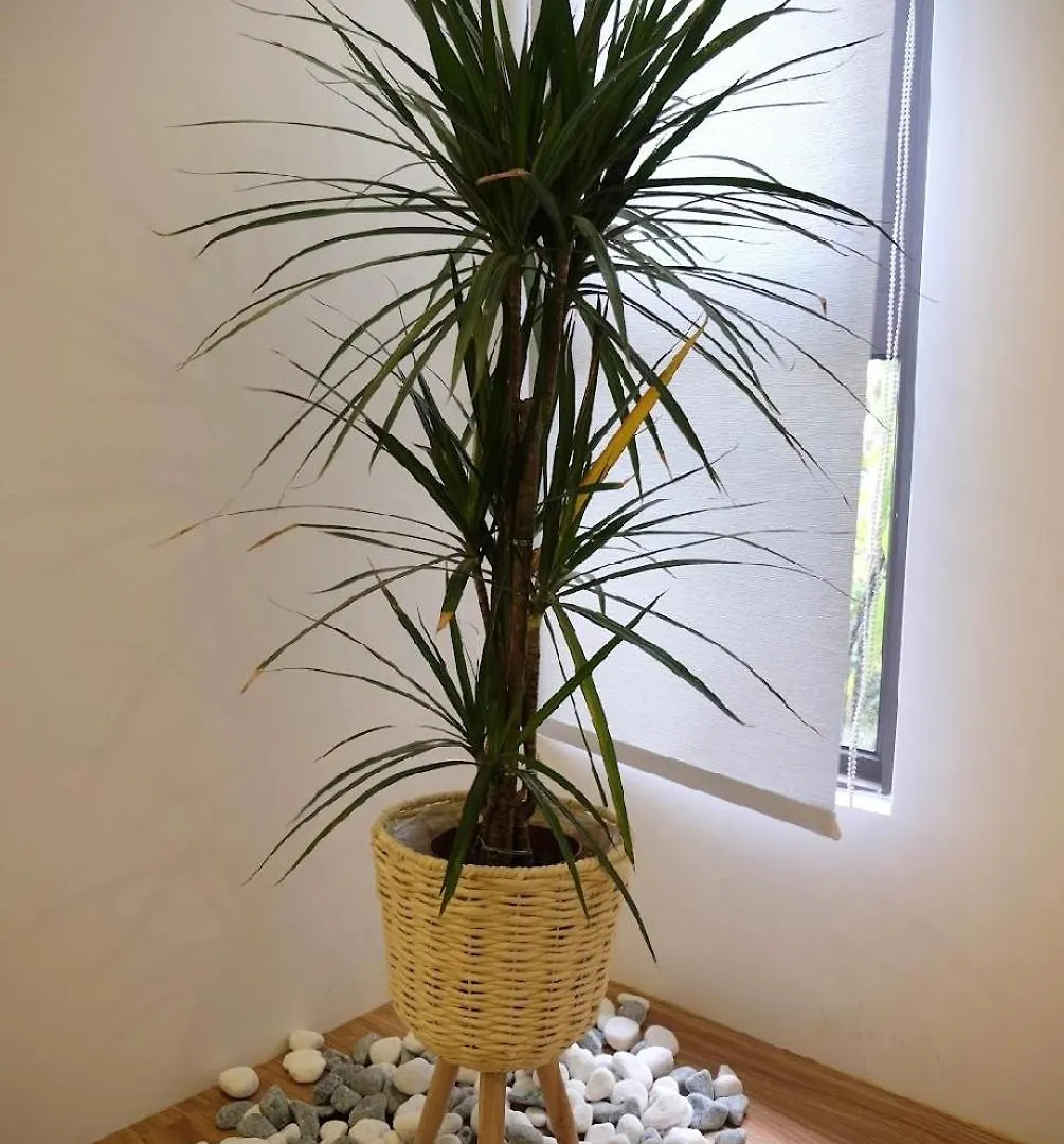 Bali Residence Tatami House Melaka Διαμέρισμα